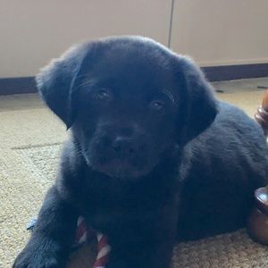 Meet your Posher, Melanie